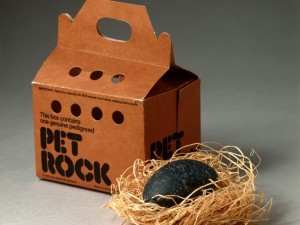 Gary Dahl's pet rock "invention" made him a millionaire!